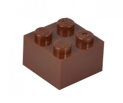 Blox - 100 briques de 4 pièces marron - compatibles avec les briques de jeu connues