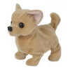 CCL Baby Puppy