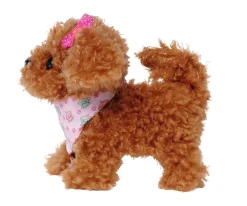 CCL Tea Cup Poodle Puppy