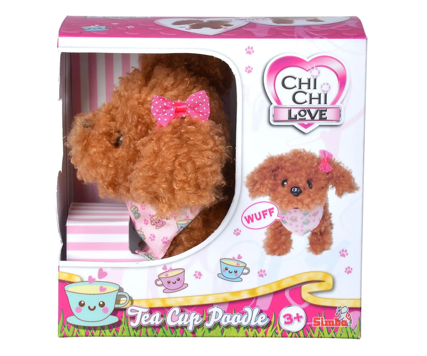 CCL Tea Cup Poodle Puppy