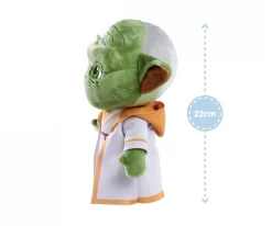 Disney Young Jedi Adventures, Master