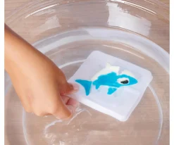 Kit Aqua Gelz Deluxe